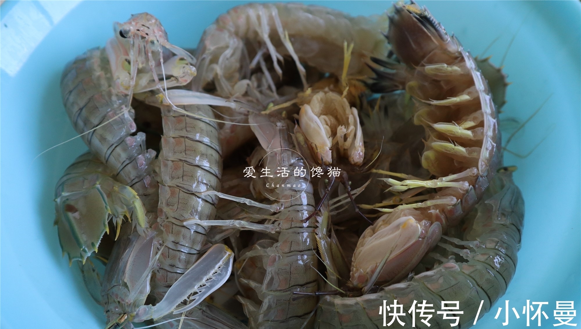 花蟹|老公说要吃海鲜,出门买了满满一桌,花了3百多,您看值不值?