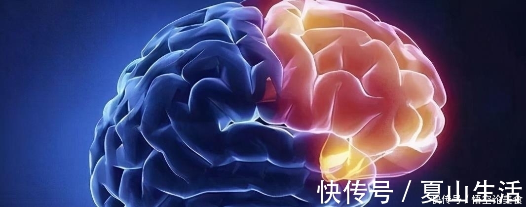 发育|胎儿有3个大脑发育“高峰期”,妈妈要抓住时机,对孩子有帮助