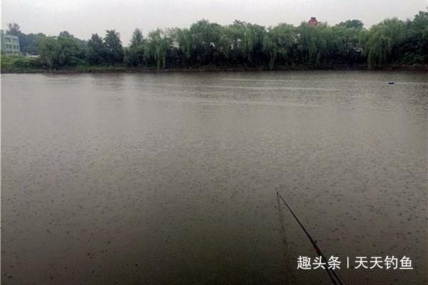 大鱼|自然水域野钓大鱼,用了这些招数,效果出奇的好,大鱼连竿上