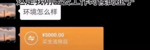 聊天记录|“转账爸爸”走红,跟女儿的聊天记录太豪横,网友:酸了酸了