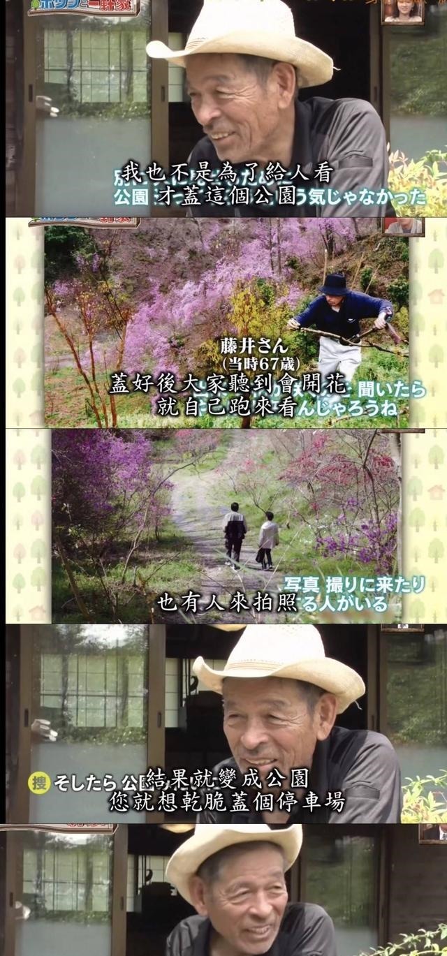 房好吃惊|23年种5700棵树 这个老人把荒山建成了森林公园