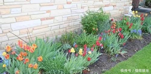 盆栽花草该如何正确浇水掌握3点诀窍,不用怕浇一盆死一盆