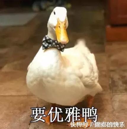 |幽默段子:我和老婆已经结婚十多年了,有一个五岁的闺女