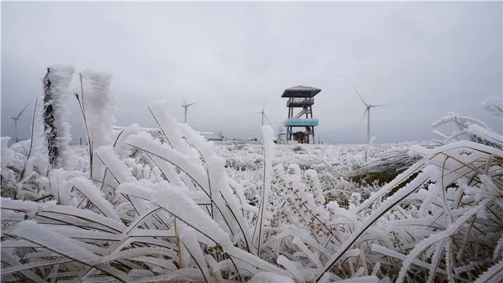 贵州多地迎来新年降雪！雪景太美了！