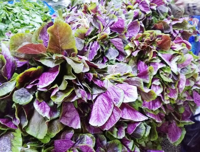 農(nóng)村3種常見(jiàn)的野草，如今被搬上餐桌，成為了餐桌上的美食