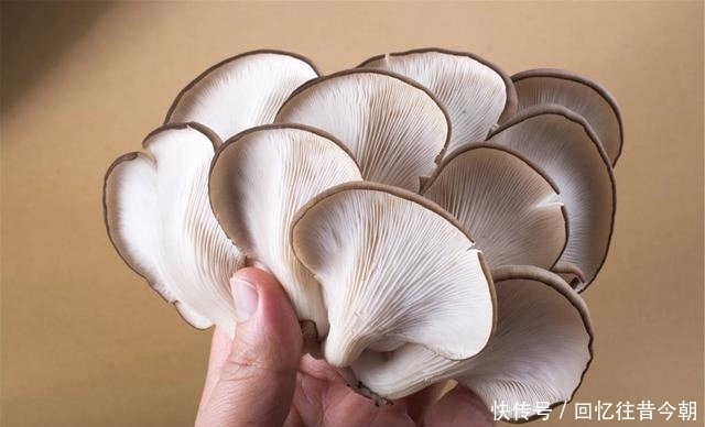 简直|平菇最好吃的做法,外酥里又嫩简直比小酥肉还好吃,第一步是关键