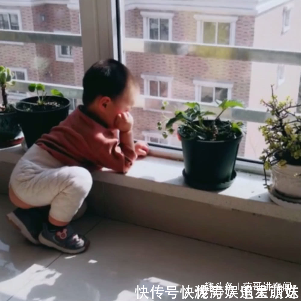 小宝宝|妈妈在家种了一盆草莓,好奇宝宝张嘴就是一口,最后被妈妈发现