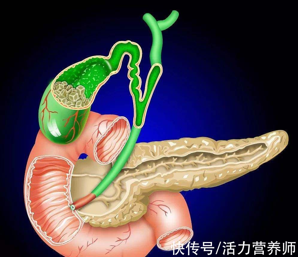 喝水|早上不宜空腹喝水，否则比每天不吃早餐危害还大？科学解释来了