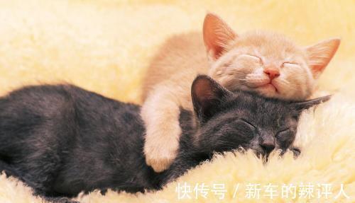 |搞笑段子:只要出门了,那就不叫休息日,那是工作日