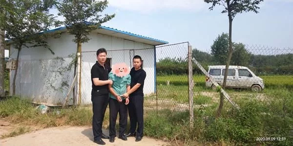 监守自盗真相大白
