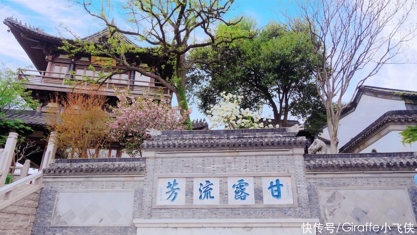 这个季节的江南，一定要来一次拥抱|江苏镇江 | a8705