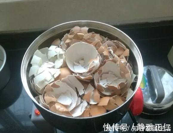 蹭蹭|这玩意1分钱不值，垫在花盆底，养啥花都旺，蹭蹭长爆盆