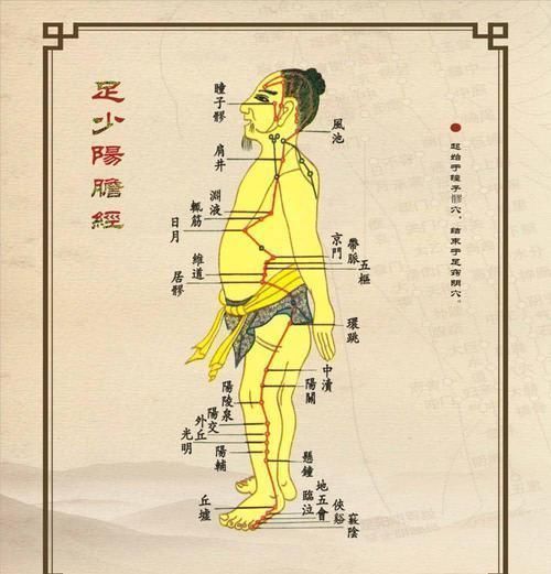 阳陵泉|疑病多郁！久治不愈？谨记这条经络上“五朵金花”！疾病无处可藏