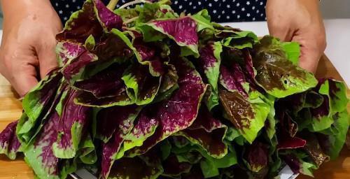 茼蒿|夏天,不管有钱没钱,都要吃此8种“菜叶鲜”,错过就要等上一年