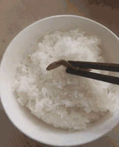 |搞笑GIF:高手往往都败在意想不到