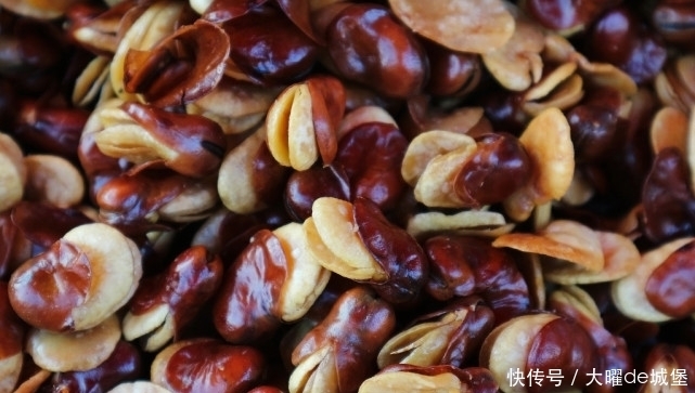 西葫芦|有8种蔬菜要少吃,为了身体健康,建议日常减少食用量