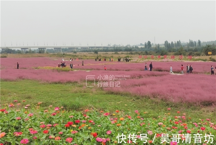 红花海|网红花海、主题乐园、民俗小镇，西安这条逛吃休闲路线，太好玩了