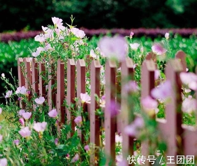 闺中&藩篱闲院轻风落，悠然细诉秋声，桂花摇曳一香庭，新月飘簸云层