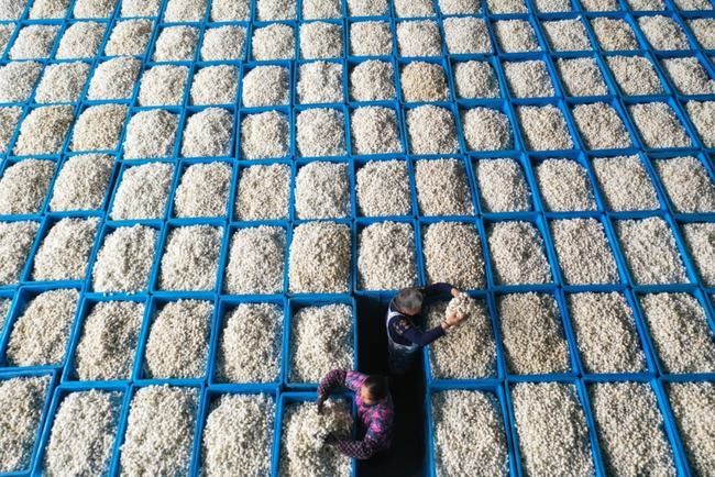 赵丰&你知道“丝绸起源于中国”是如何证明的吗?