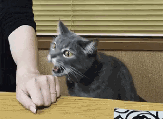 |搞笑动图:终于下雪了,小企鹅开心得跳起来!