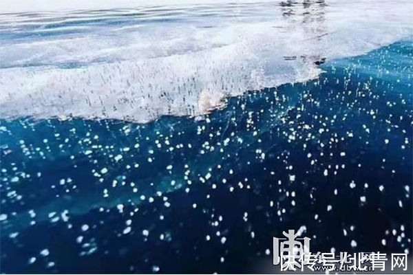 冰雪|中国·黑龙江冰雪旅游产业发展指数暨2021年冬季旅游产品发布会在南宁收官