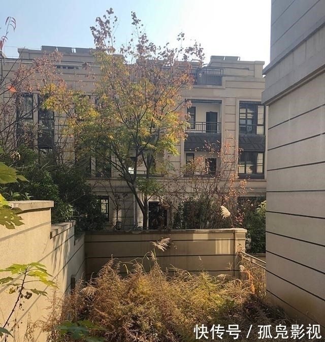 汀步|把70㎡庭院往下挖一层，与地下室连在一起，高低错落能当3个院子用