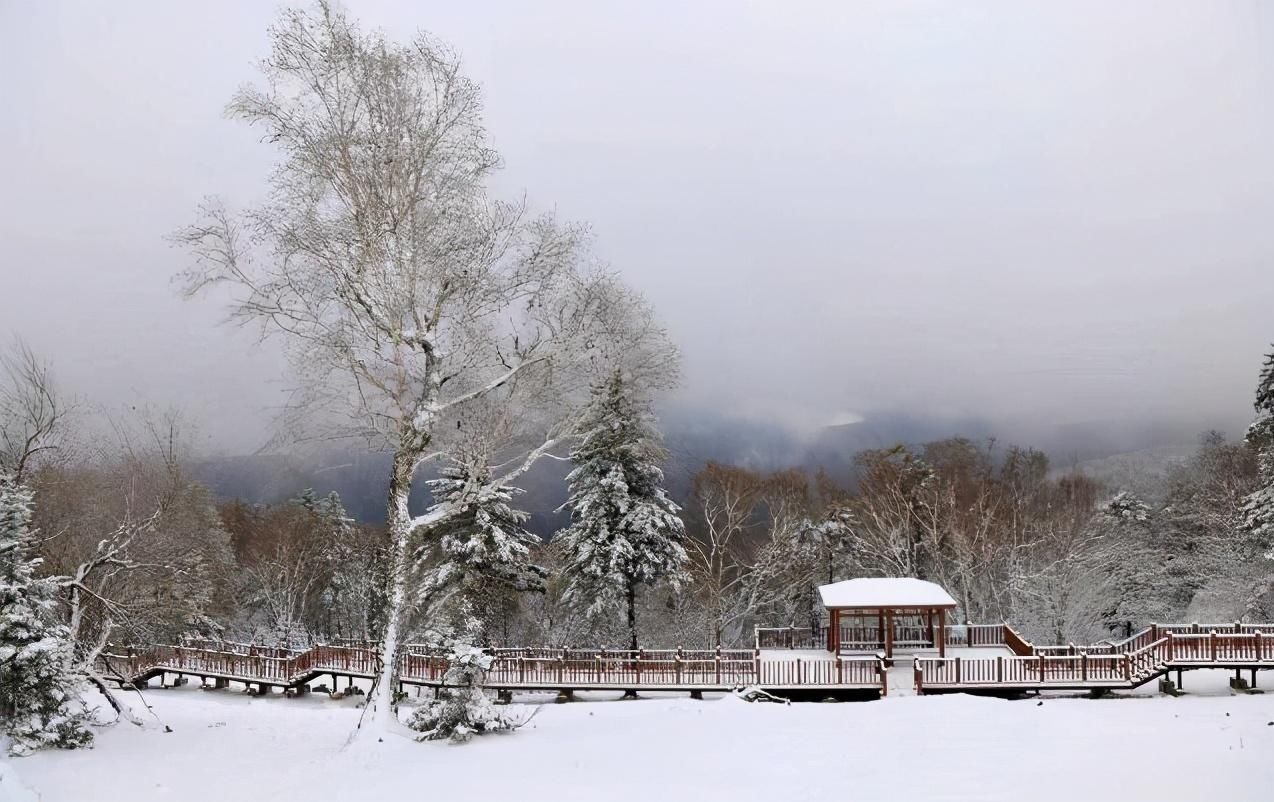 降雪|心心念！碎碎念！降雪啥时候来？有准信儿了