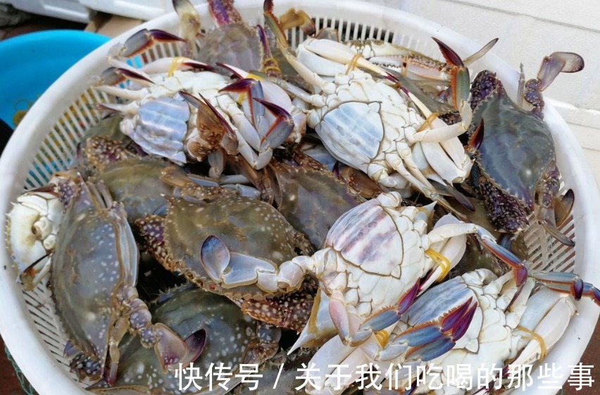 死蟹|挑梭子蟹,个头大未必好,渔民教你4招,个个肉多黄肥,鲜美好吃