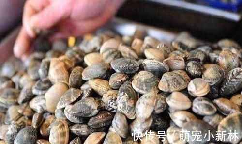 沙子|花甲还在用盐水去沙吗？饭店大厨教一招，2分钟将沙去的干干净净