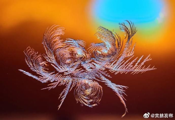  你家|霜窗花，冬天给你家窗子的吻！这些图美得像梦~