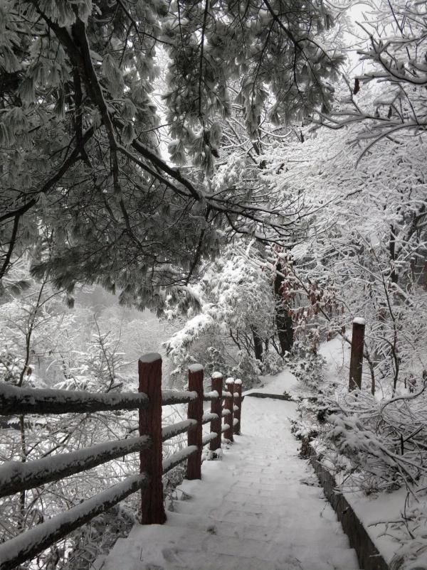 雪花儿|雪后小城，每一帧都美成屏保!