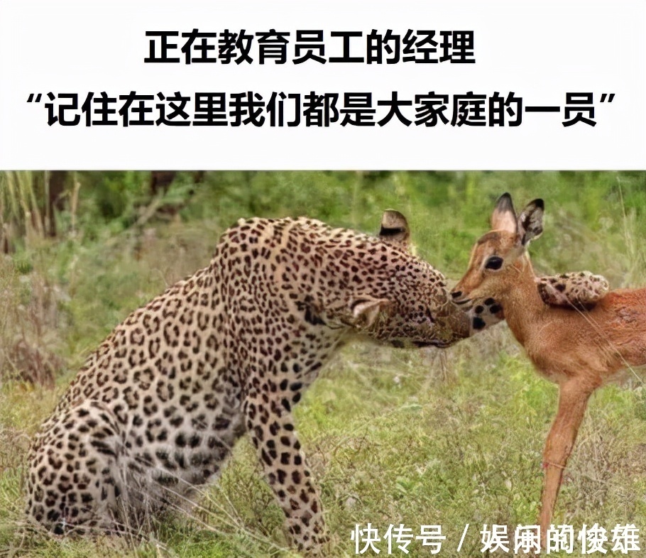 |搞笑GIF趣图:老爷子成功的把榴莲吃出了芥末的味道!