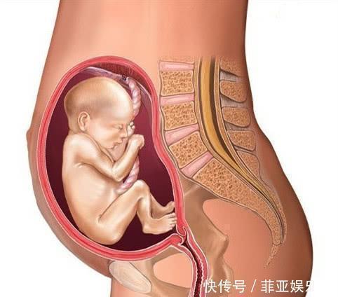 孕妇|孕晚期,孕妇有几种感受,说明胎儿已顺利入盆,附胎儿入盆图解