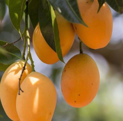 陈医师|女性想身体好，平时常吃三种食物，补血益气，滋阴润燥，有益健康