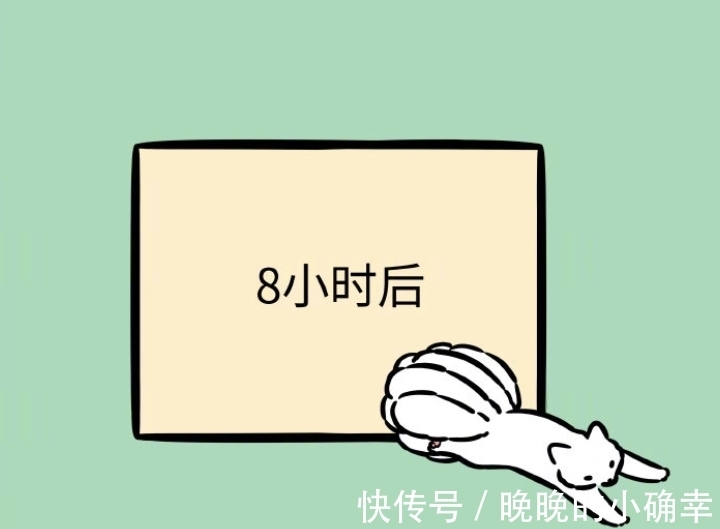 计划|非人哉：九月搬家，提前做好计划，最终还得翻垃圾桶