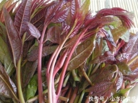 蔬菜|糖尿病患者尽量不要碰这三种蔬菜, 食用后, 血糖肯定高