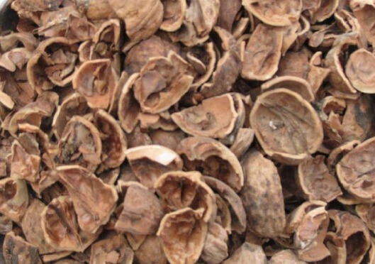 核桃|核桃壳不要扔了,用水煮一煮,能解决许多人的烦恼,大家来了解下