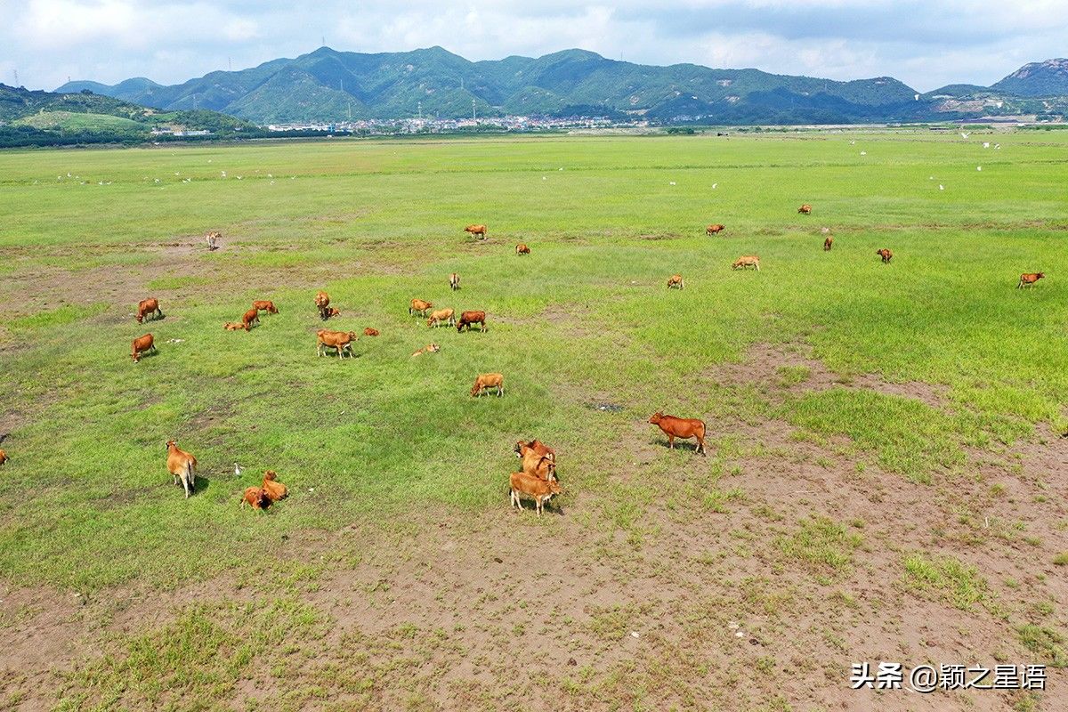 玻璃桥|有山有海有草原，全域旅游象山东陈乡，人文风景荟萃