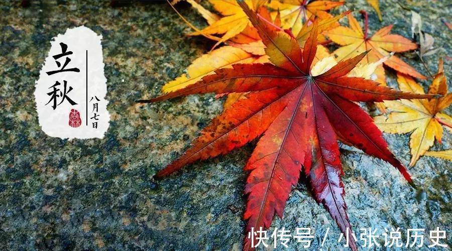 蔬菜|立秋后6种蔬菜可以多晒一些，炖肉炒菜特香，比鲜菜更好吃