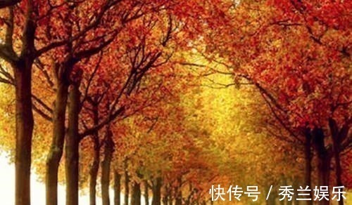 玉楼#断鸿渺渺空银海,疏雨潇潇满玉楼;八首七律诗,已是天凉好个秋