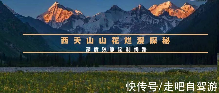 自驾|2022全年53条自驾路线上线，每一条都美哭了！你想要的，我们都有