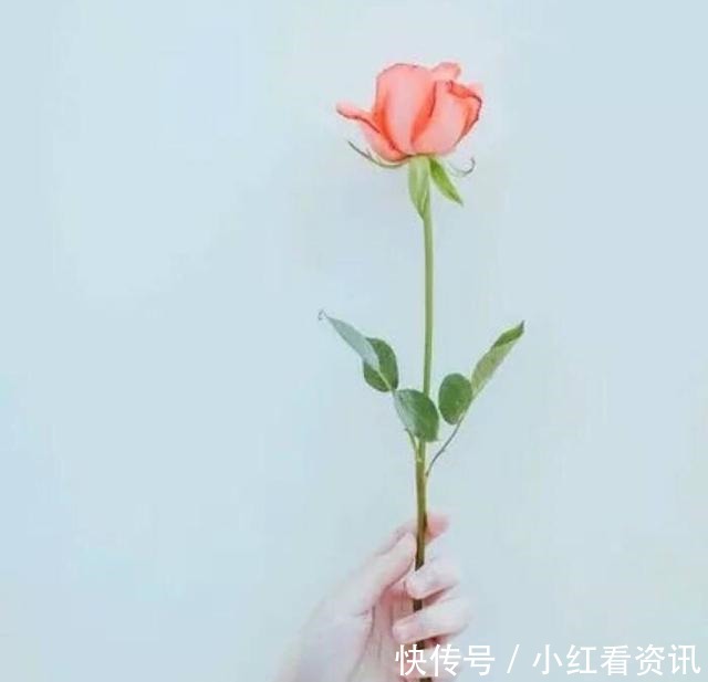 结尾|那些年惊艳了我们的小说结尾,“我在等风,等风热吻你”