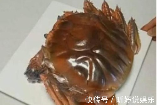 大螃蟹|弟弟拿回一只“螃蟹”,妈妈准备蒸,切开一看是“它”,幸亏没蒸