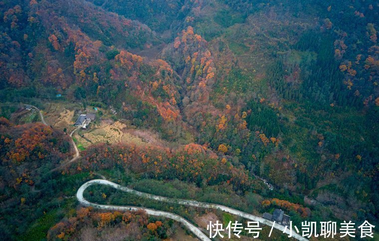 彩林|平武有座山红透了！山上这条云端上的彩林公路秋色如画