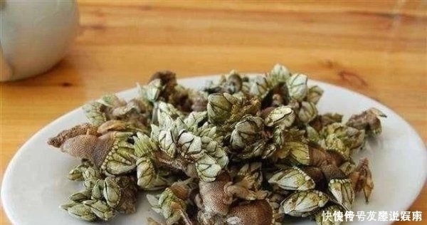 盘点几种极品海鲜,第三种被称为虾界的阿凡达,全吃过的是土豪