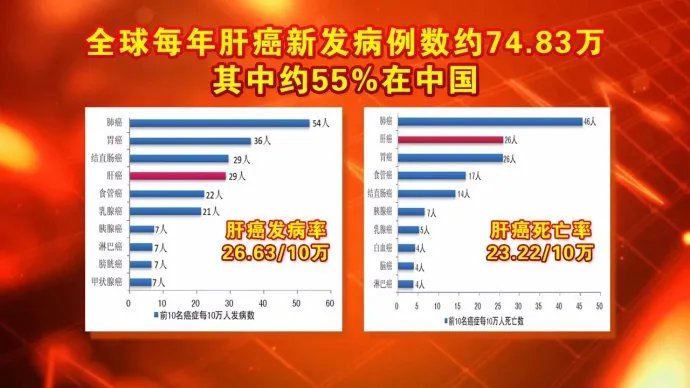 减负|藏在身边的“天然解毒菜”,现在吃正好!给肝脏“祛毒”,给血管“减负”~