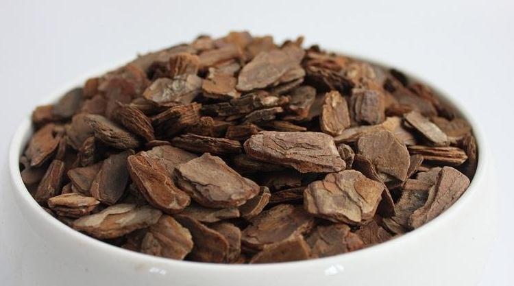 兰花要养的好，根系又多又壮，得用这些小方法，其实也很简单