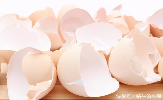 鸡蛋壳也有大用处,这些植物用了鸡蛋壳,有了大改变