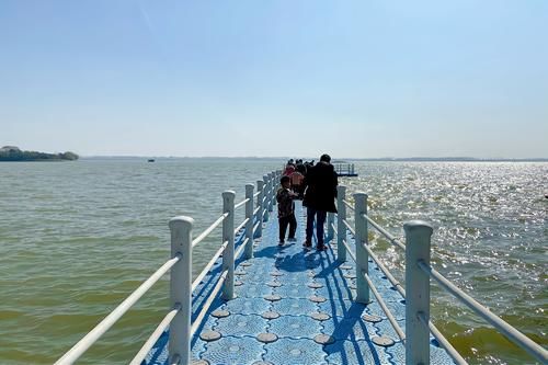 老年|单县浮龙湖，菏泽市唯一的省级旅游度假区，被誉为“江北西湖”