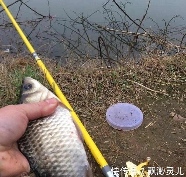 冬季野钓经常空军,老汉教你几个小妙招助爆护